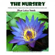 Blue Water Lotus Seeds-BWLO