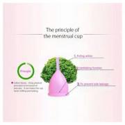 Menstrual Feminine Reusable Period Cup (s)-Pink