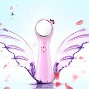 Face Cleaner Wrinkle Removal Skin Lift Massager Electric Anti-Aging High Frequency Ultrasonic Face Beauty Device