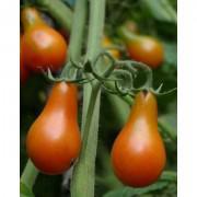 Organic Red Pear Tomato Seeds-RPr889