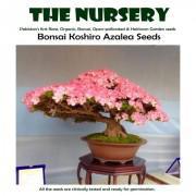 Bonsai Koshiro Azalea Seeds-BPKA999