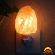 Wall Light Salt Lamp in Natural Shape