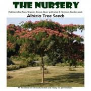 Albizia Tree Seeds-ABTE000
